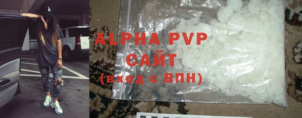 PSILOCYBIN Чегем