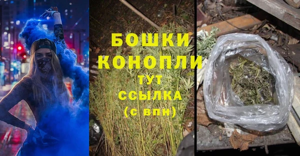 ПСИЛОЦИБИНОВЫЕ ГРИБЫ Чекалин