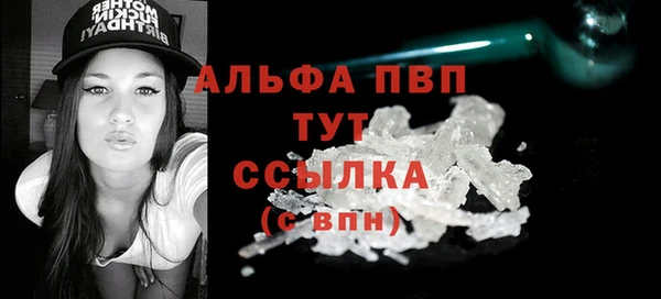 ПСИЛОЦИБИНОВЫЕ ГРИБЫ Чекалин