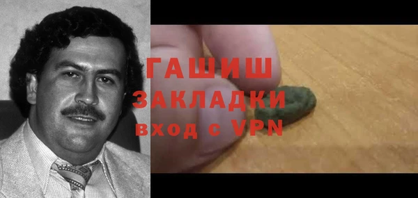 ПСИЛОЦИБИНОВЫЕ ГРИБЫ Чекалин