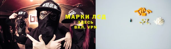 PSILOCYBIN Чегем