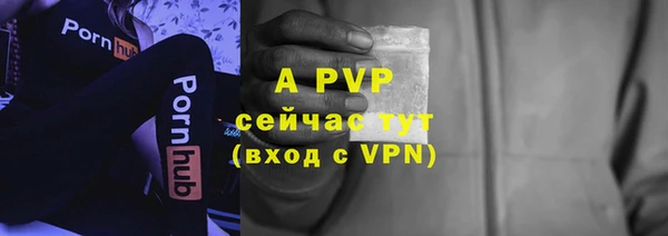 PSILOCYBIN Чегем