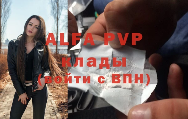 ПСИЛОЦИБИНОВЫЕ ГРИБЫ Чекалин