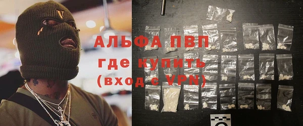 ПСИЛОЦИБИНОВЫЕ ГРИБЫ Чекалин