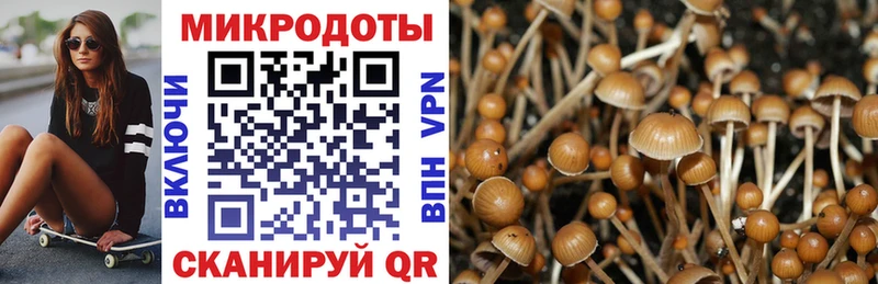 Псилоцибиновые грибы мухоморы  Яхрома 